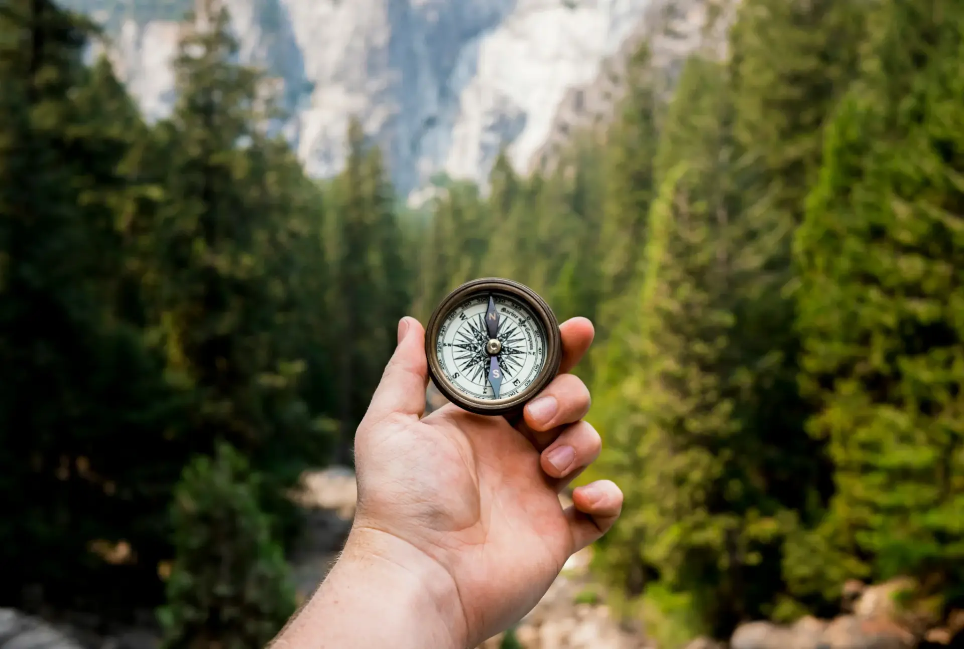 A hand holding a vintage brass compass against a blurred backdrop of a pine forest and mountains.
